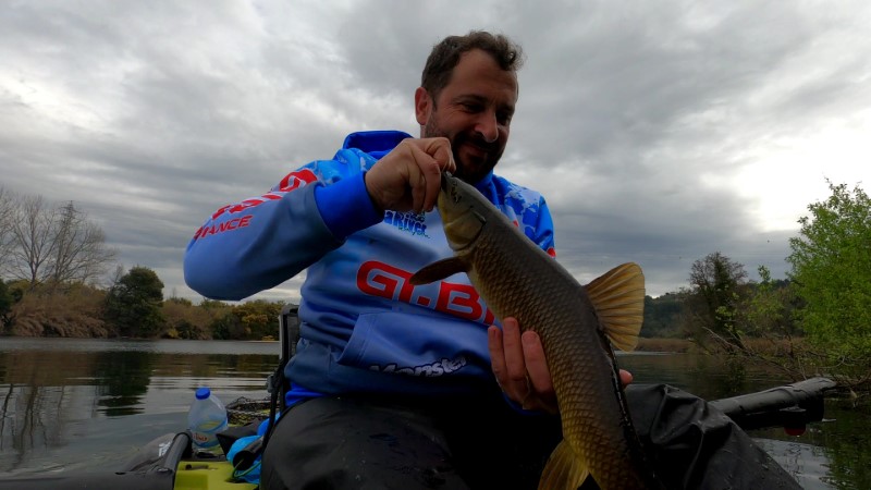Fish Profile Picture