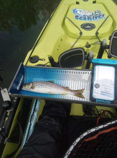Fish Measure Picture