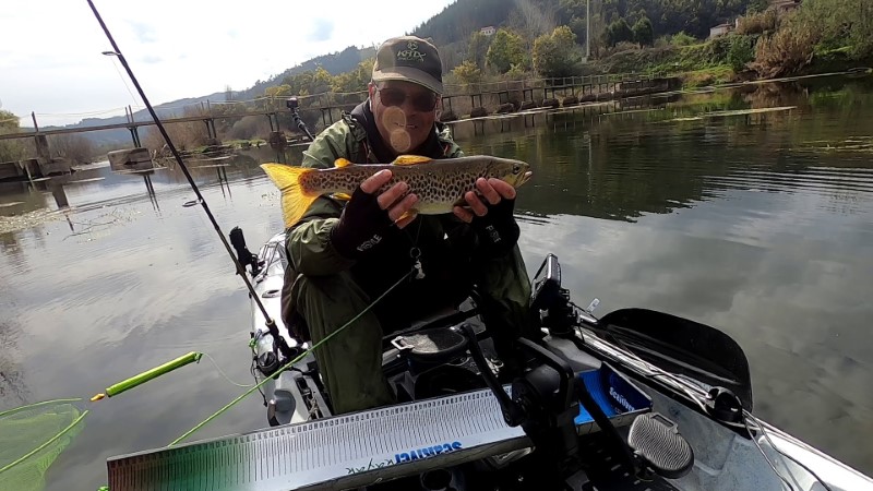 Fish Profile Picture