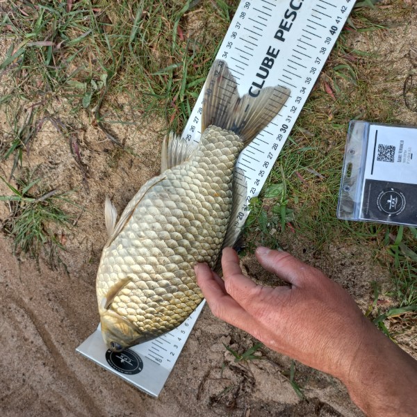 Fish Measure Picture