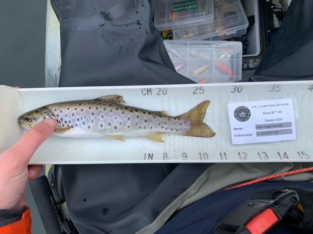 Fish Measure Picture