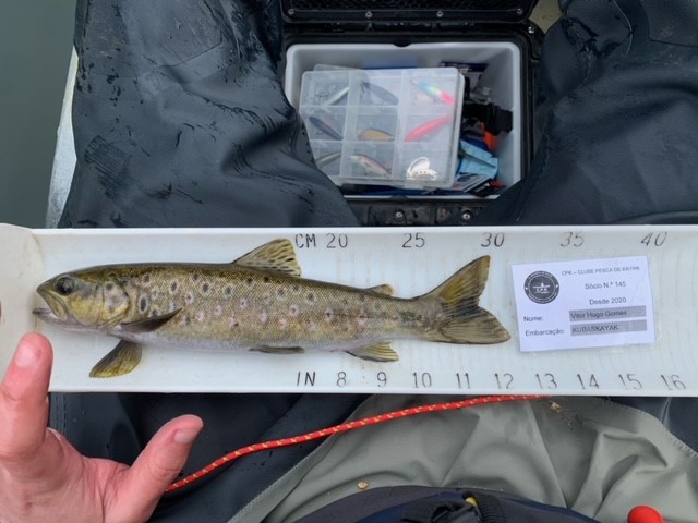Fish Measure Picture
