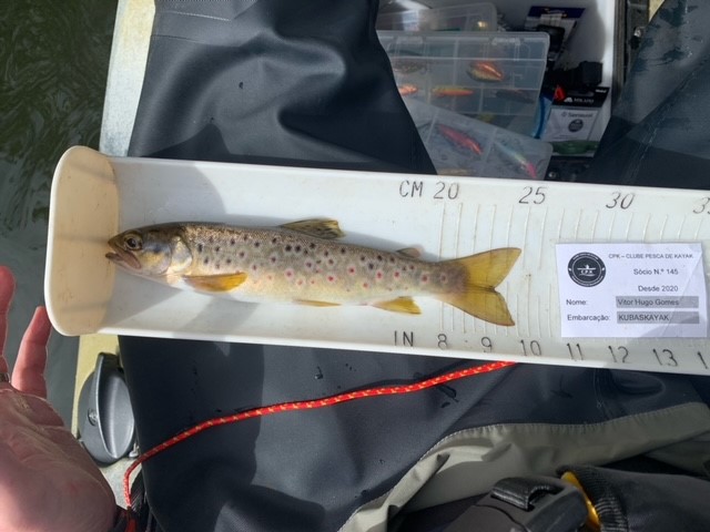 Fish Measure Picture