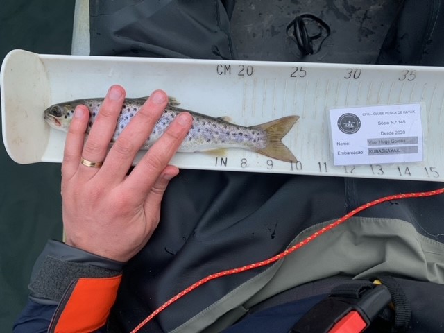 Fish Measure Picture