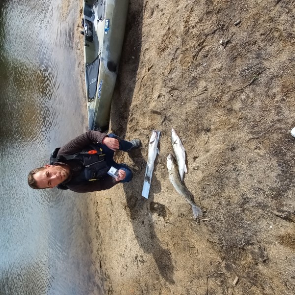 Fish Profile Picture