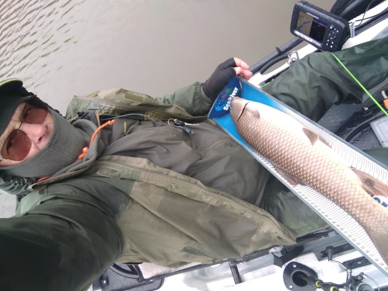 Fish Profile Picture