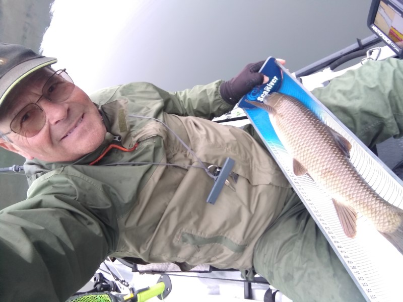 Fish Profile Picture