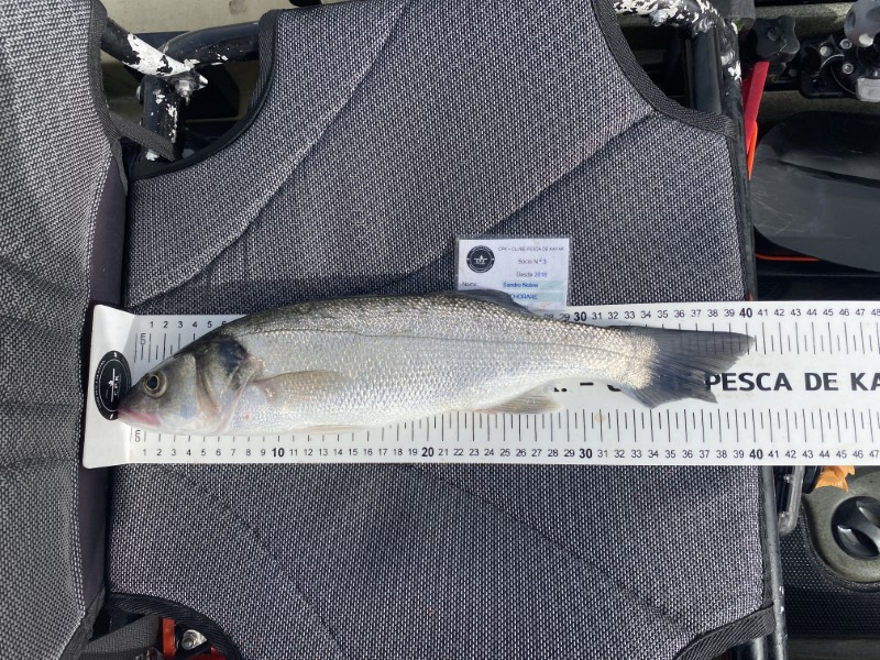 Fish Measure Picture