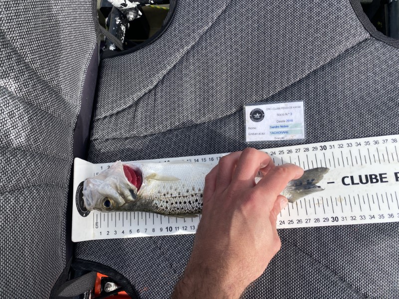 Fish Measure Picture