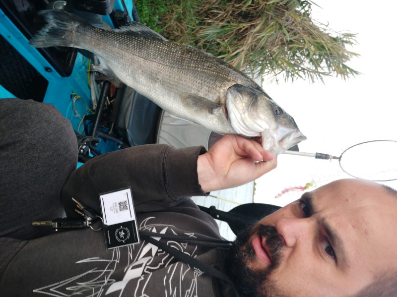 Fish Profile Picture