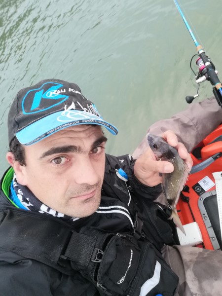 Fish Profile Picture