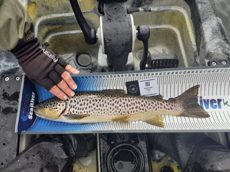 Fish Measure Picture