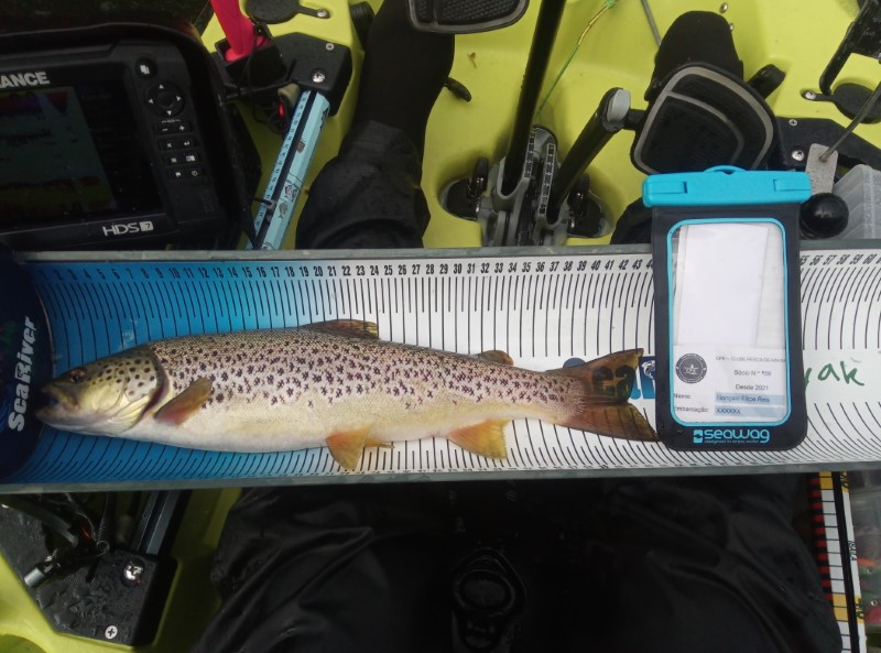 Fish Measure Picture