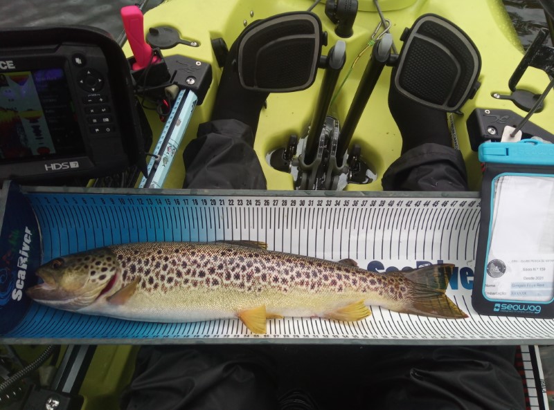 Fish Measure Picture
