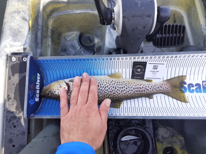 Fish Measure Picture