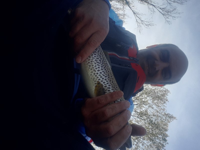 Fish Profile Picture