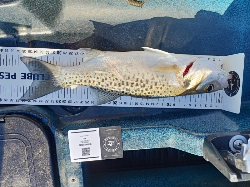 Fish Measure Picture