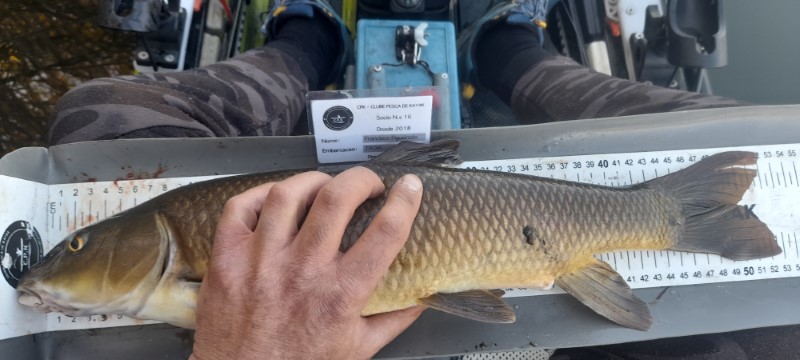 Fish Measure Picture