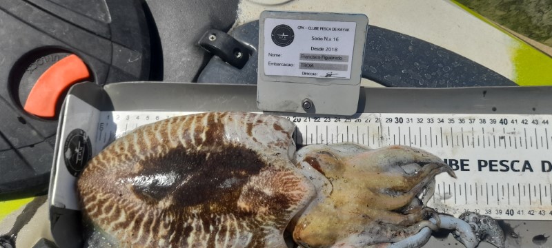 Fish Measure Picture