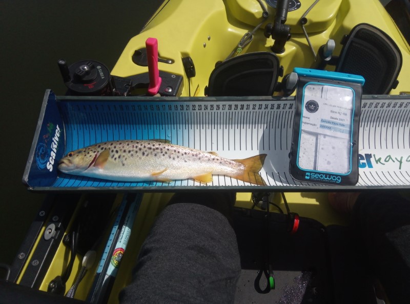 Fish Measure Picture