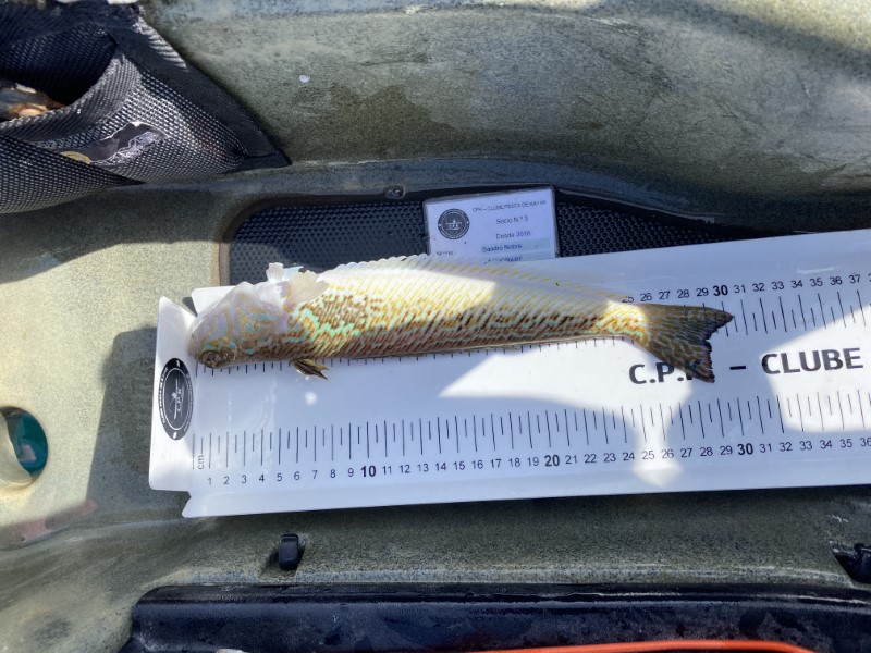 Fish Measure Picture
