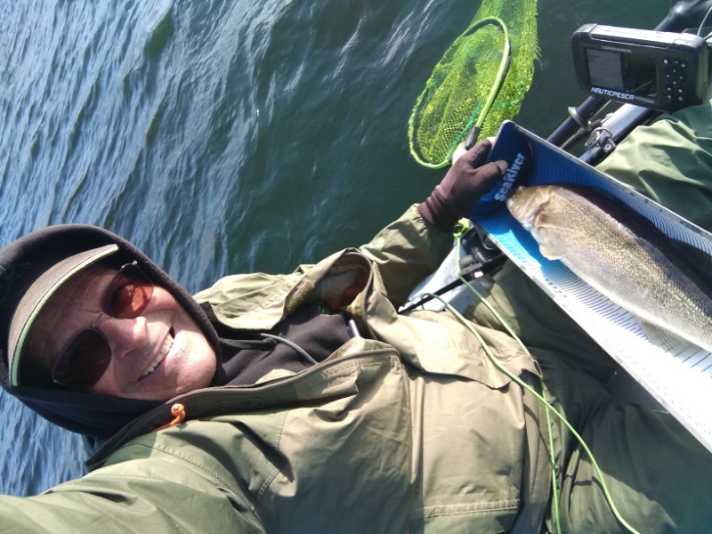 Fish Profile Picture