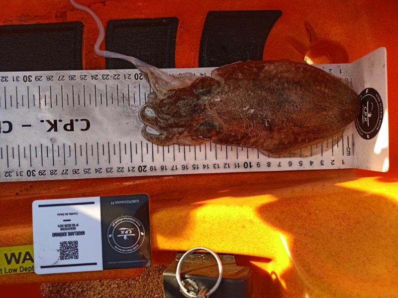 Fish Measure Picture