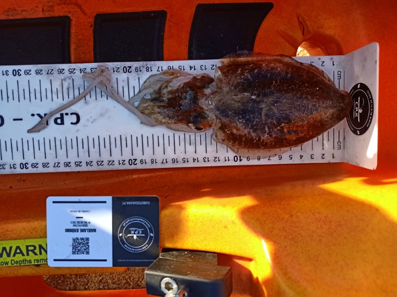Fish Measure Picture