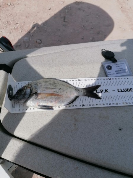 Fish Measure Picture