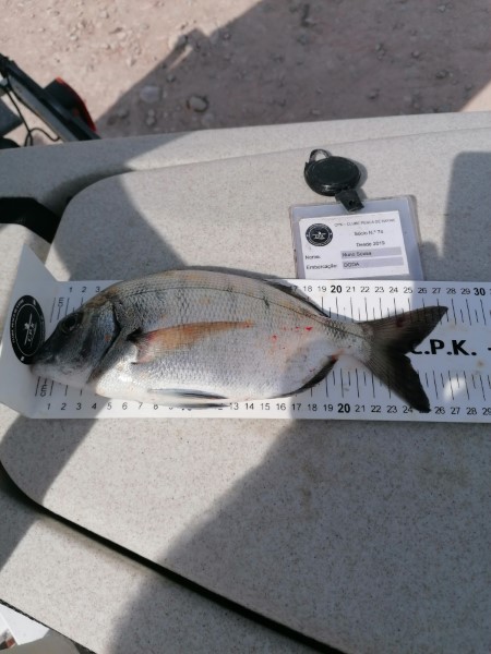 Fish Measure Picture