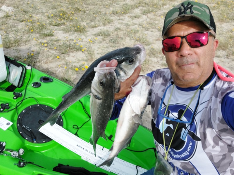 Fish Profile Picture