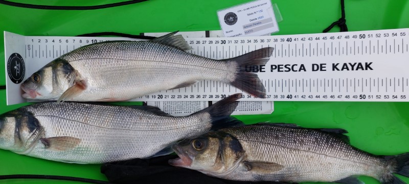 Fish Measure Picture