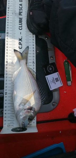 Fish Measure Picture
