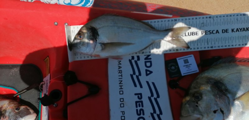 Fish Measure Picture