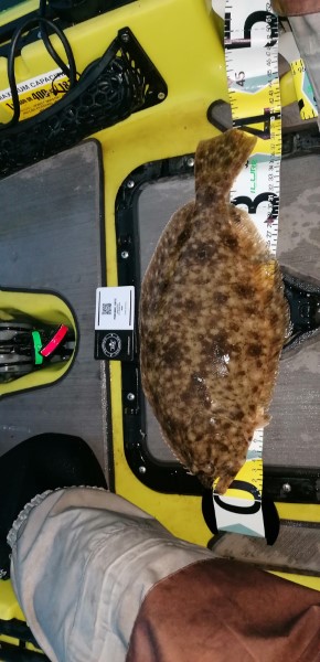 Fish Measure Picture