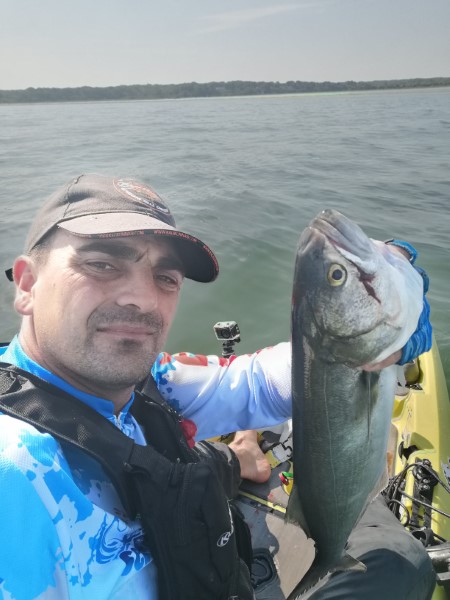 Fish Profile Picture
