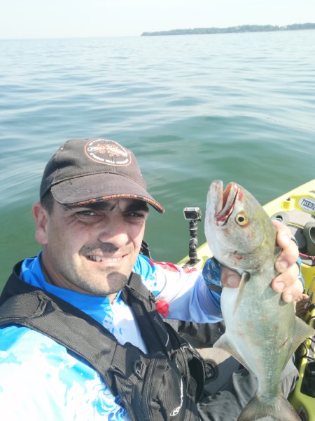 Fish Profile Picture