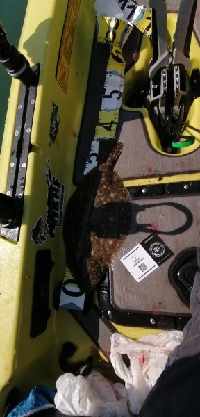 Fish Measure Picture