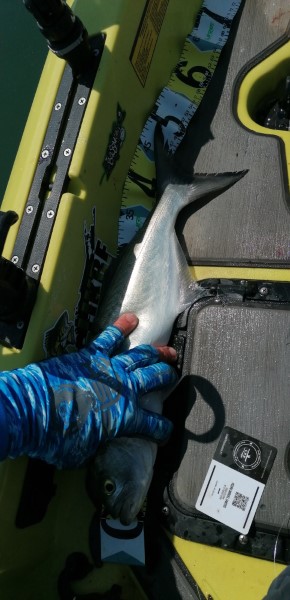 Fish Measure Picture