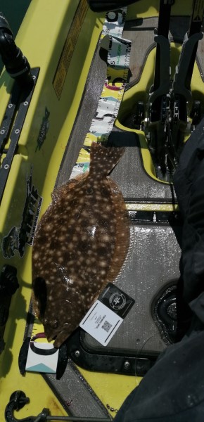 Fish Measure Picture
