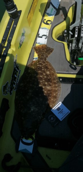Fish Measure Picture