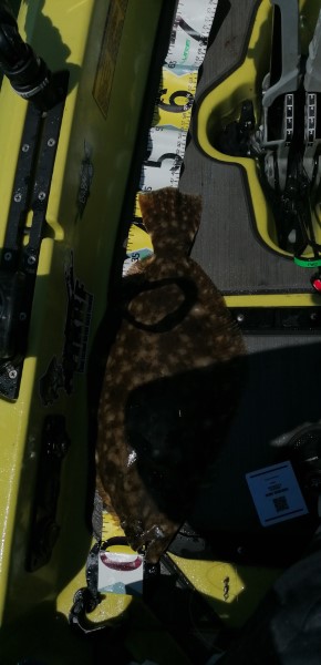 Fish Measure Picture