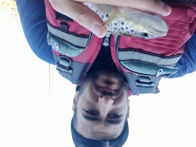 Fish Profile Picture