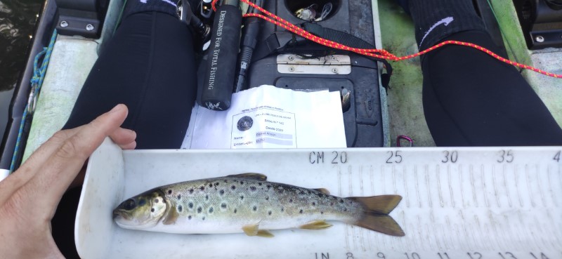 Fish Measure Picture