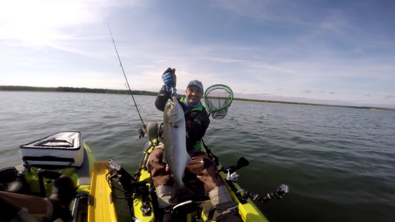 Fish Profile Picture