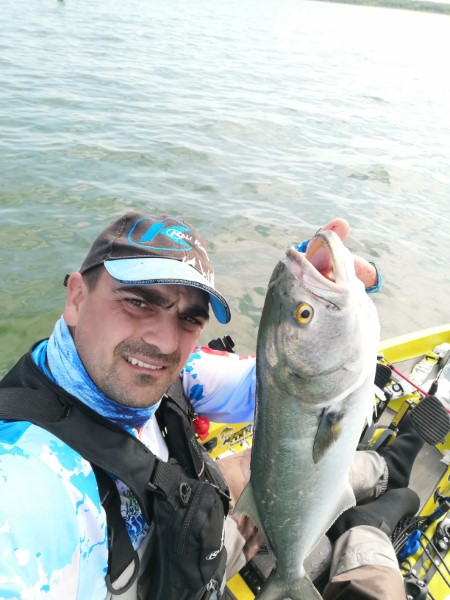 Fish Profile Picture