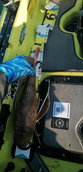 Fish Measure Picture