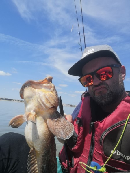 Fish Profile Picture