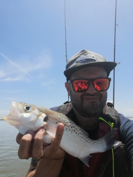 Fish Profile Picture
