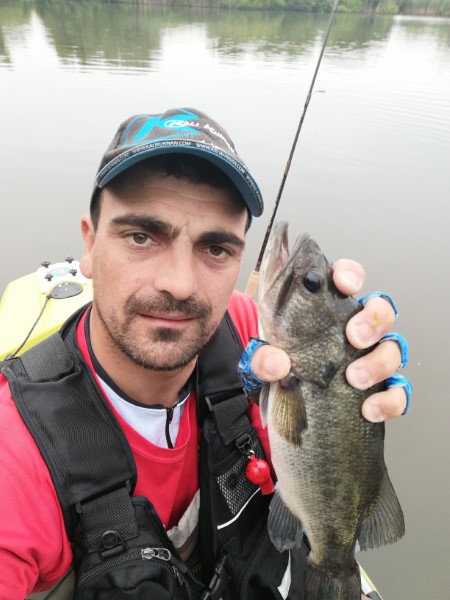 Fish Profile Picture